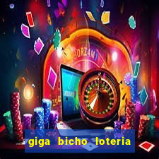 giga bicho loteria dos sonhos